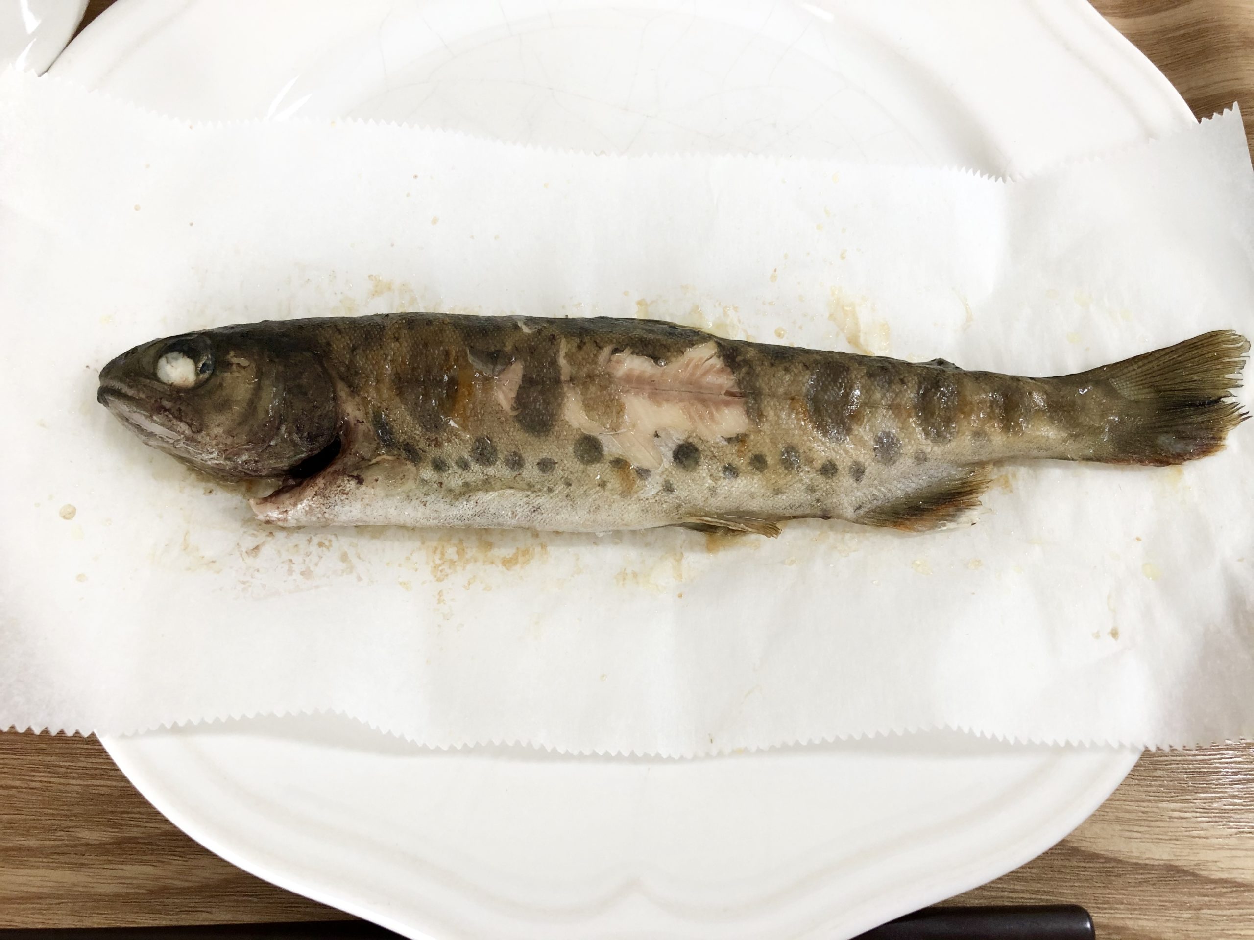 家で旅行気分 食べチョクの冷凍川魚 やまめがおいしい コロナ復興支援 送料無料でおすすめ まなきのなるようにするさ 家で旅行気分 食べチョクの冷凍川魚 やまめがおいしい コロナ復興支援 送料無料でおすすめ まなきのなるようにするさ